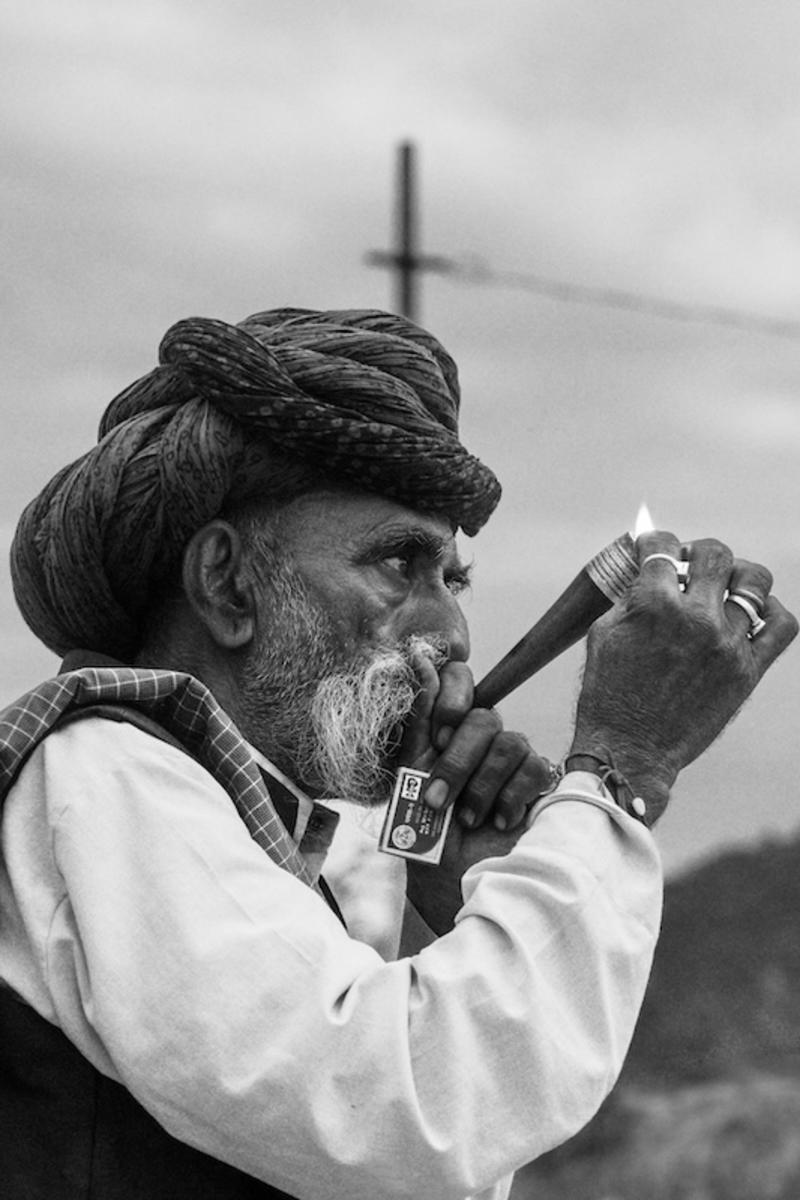 Life at the Camel Festival