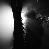 The Space In Between