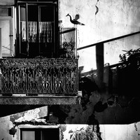 Les Noces Funèbres