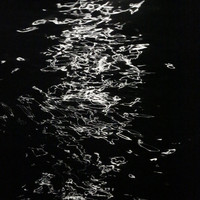 Moonlight Sonata