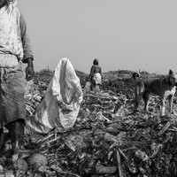 Waste island