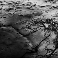 Attrition
