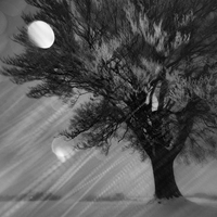 Nuits blanches