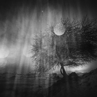 Nuits blanches
