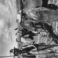 Canavieiros 