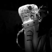 Cologne Carnival behind the scenes